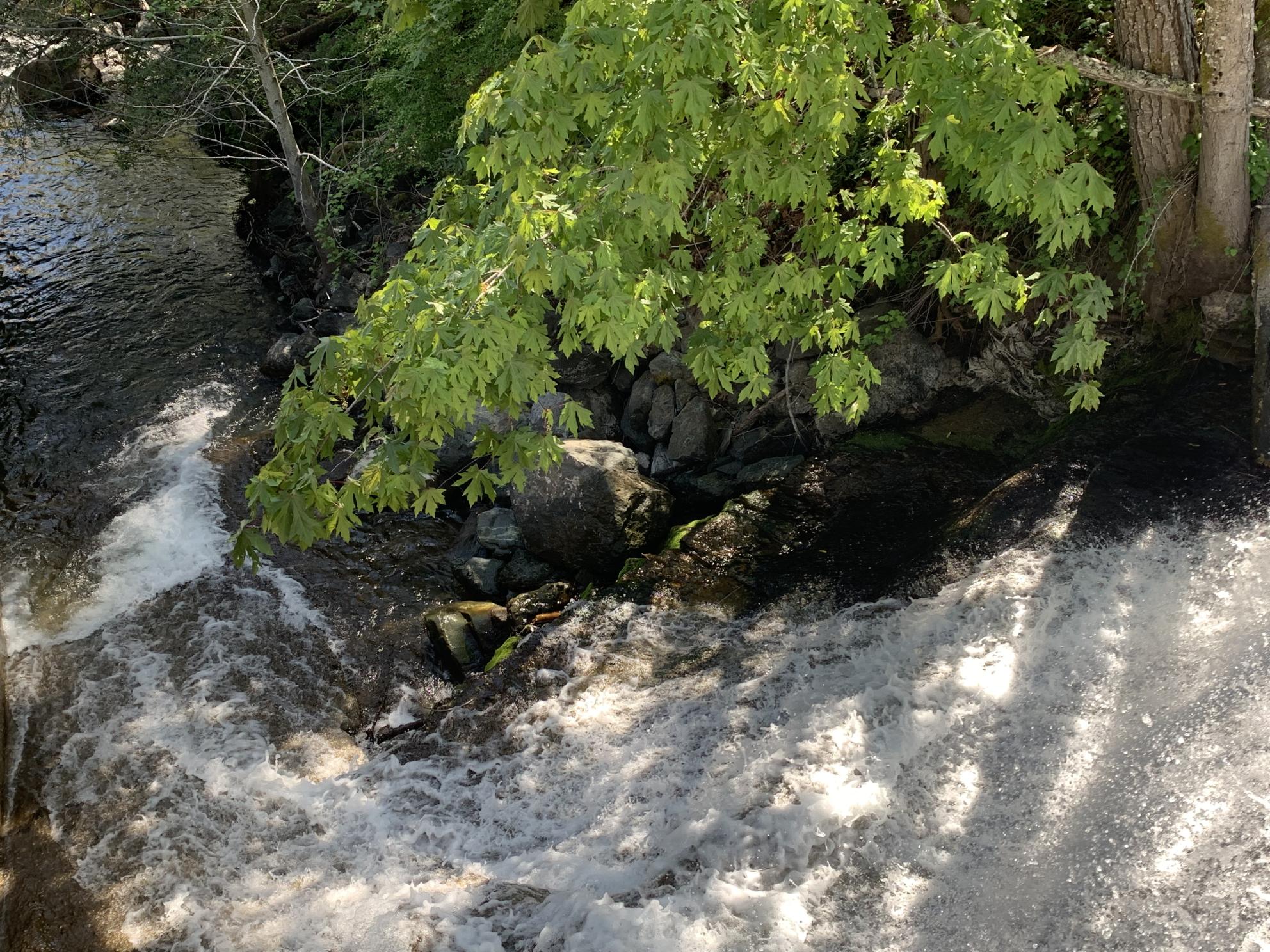 water flowing downstream