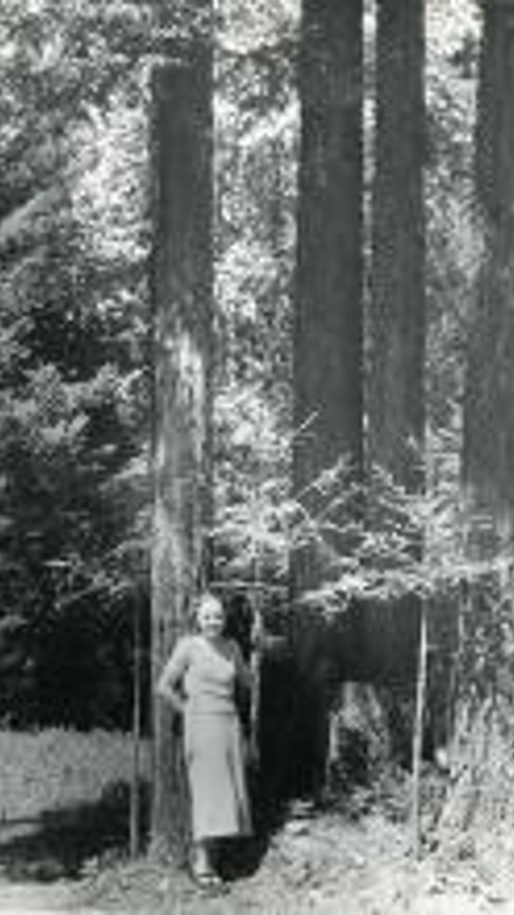 an old photo of a person standing by a tree
