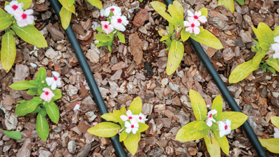 outdoor water lines for garden