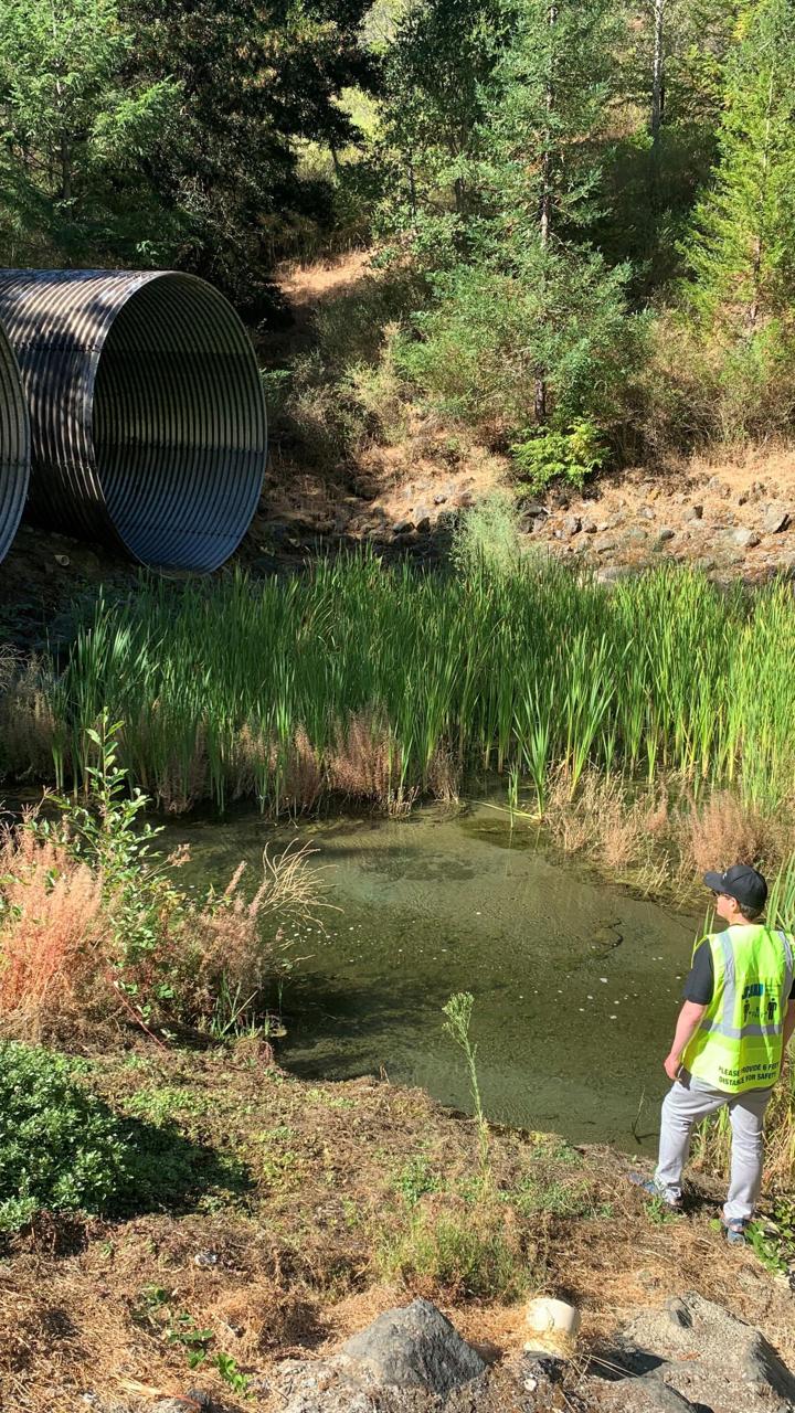 Jared Lewis in the woods