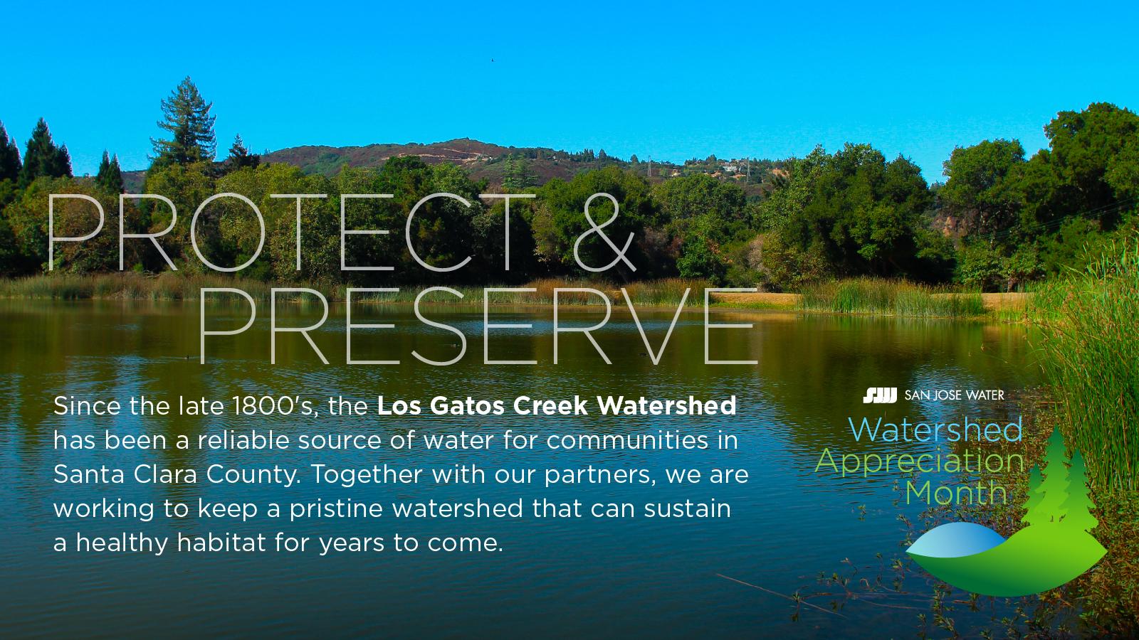 los gatos creek watershed