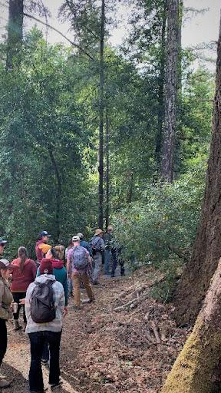 Santa Cruz Mountain Stewardship Network members hike in the Santa Cruz Mountains Watershed