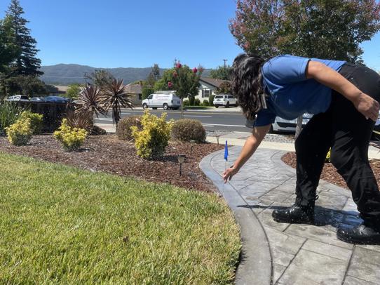 employee marking a sprinkler line with a flag