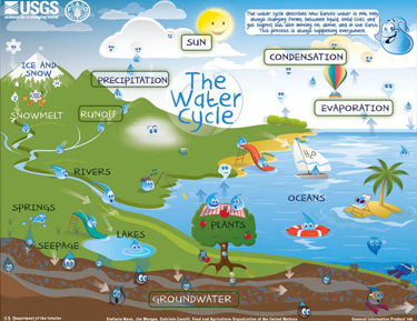 The water cycle graphic