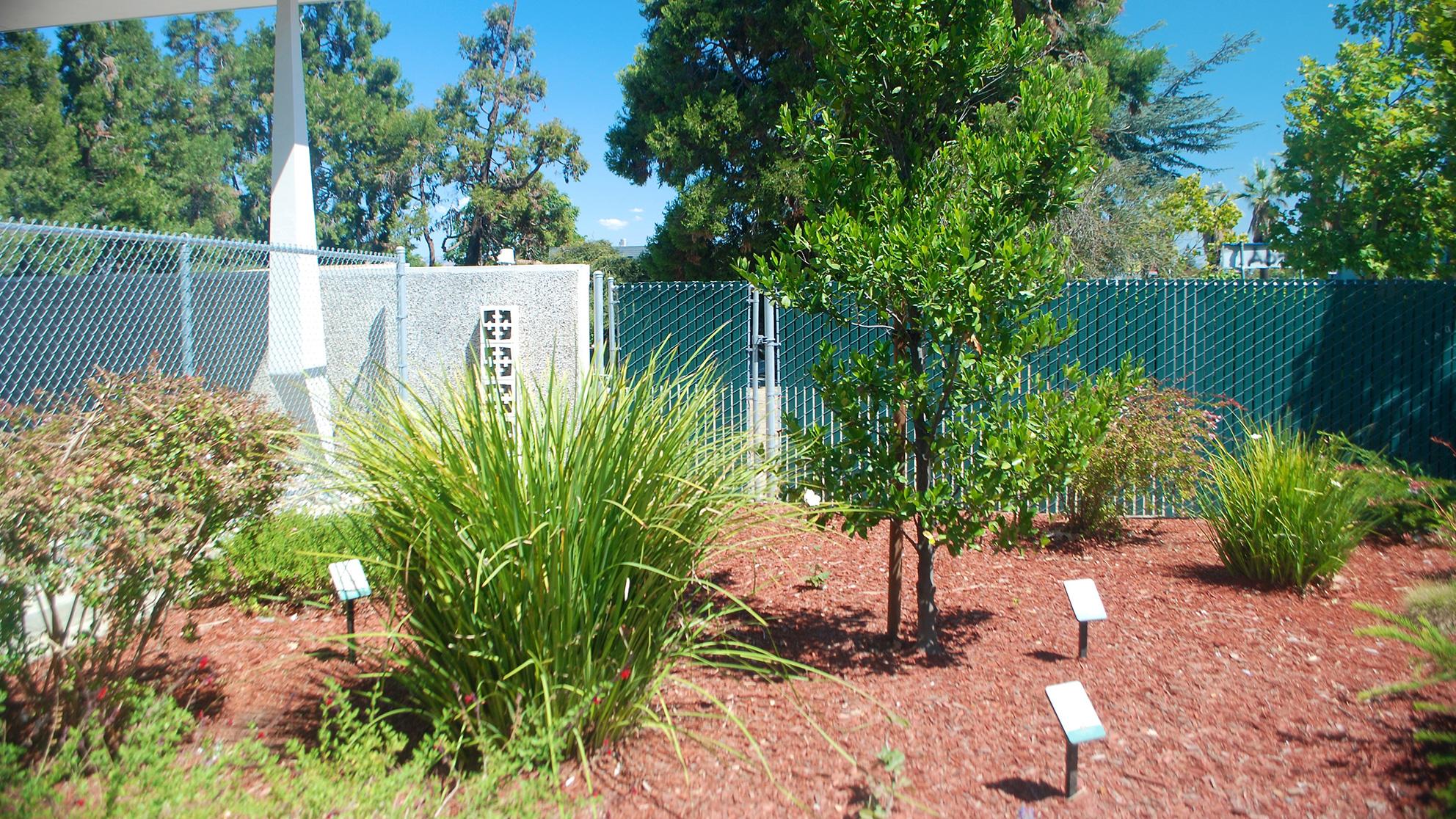 the demonstration garden
