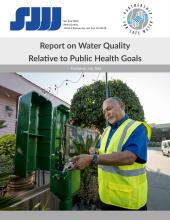 Preview of 2022-24 PHG report cover