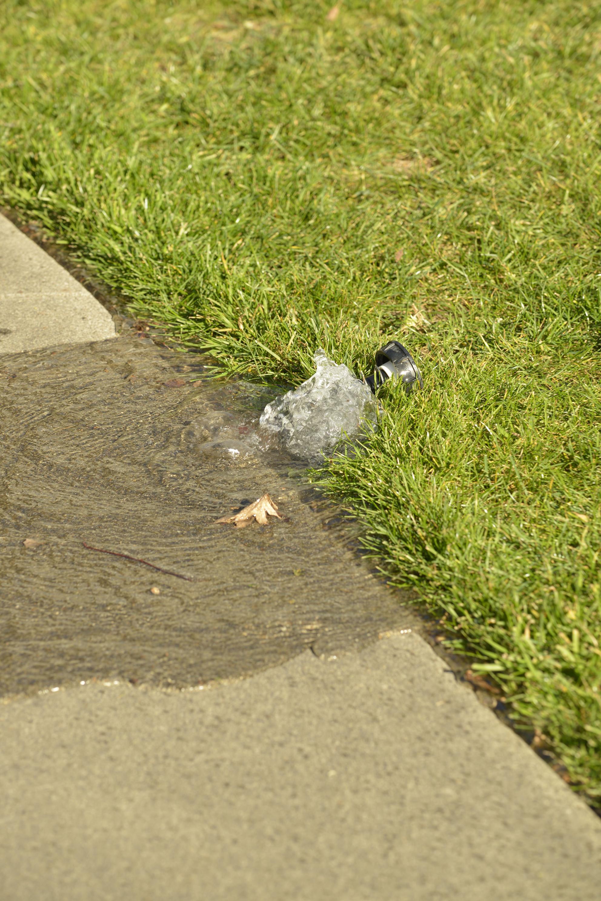 0111_0.jpg leak on grass