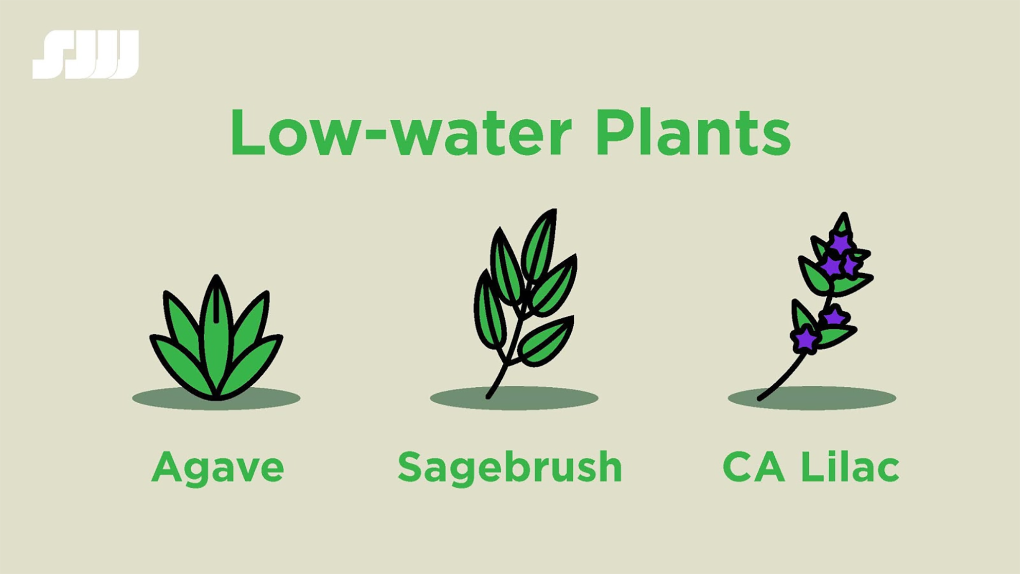 Water Smart Plants