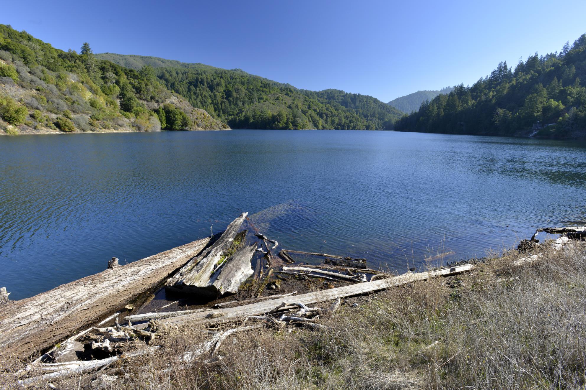 A view across SJW's Lake Elsman reservoir.