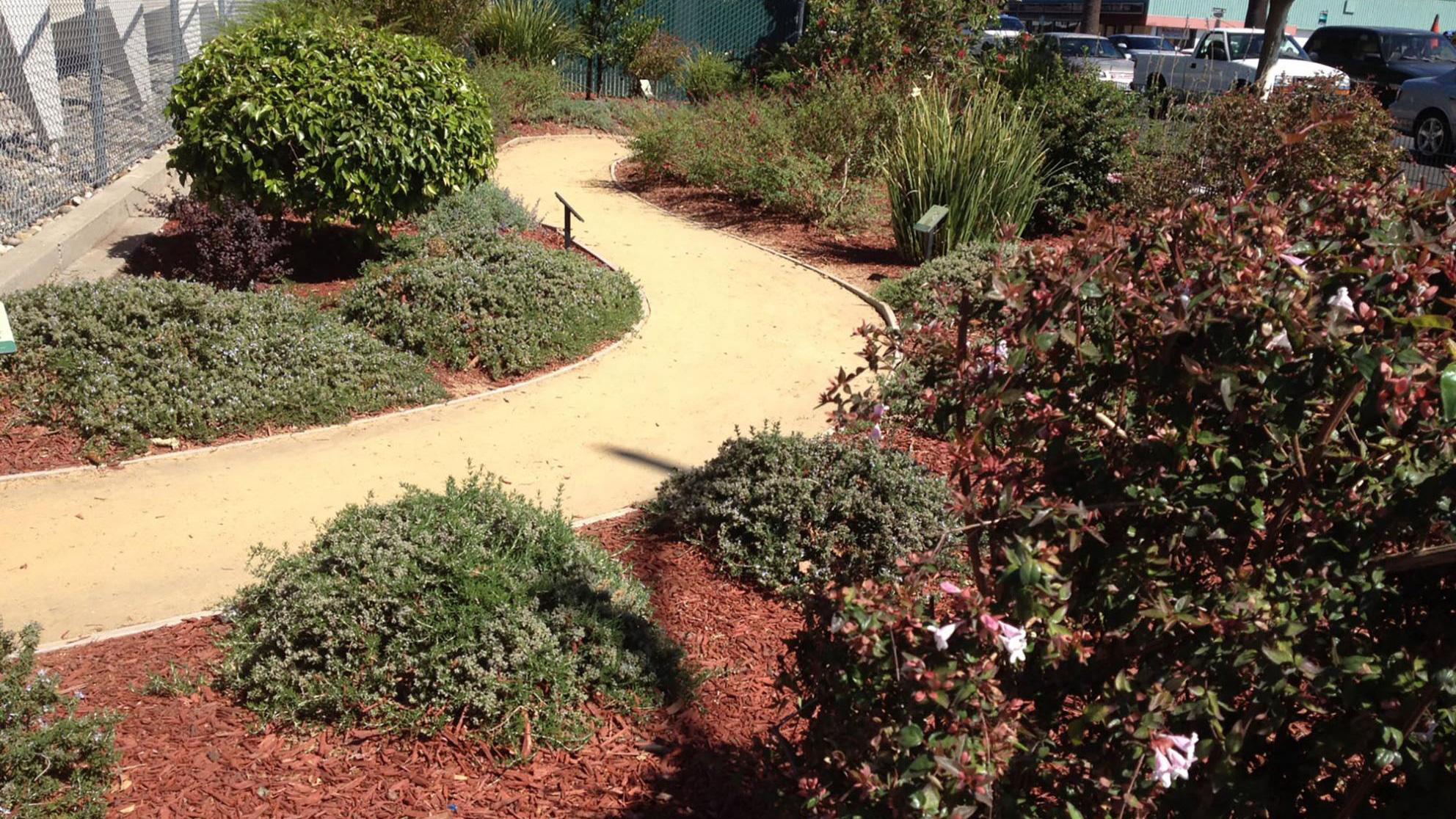Path through garden