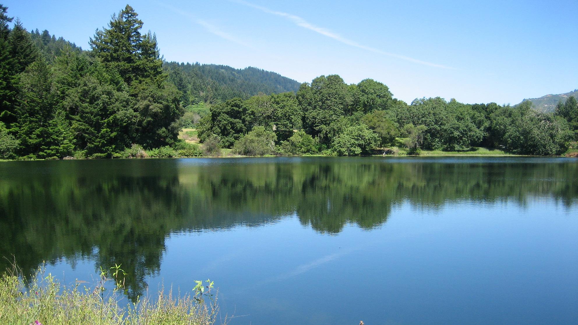 water-worth.jpg Clear lake