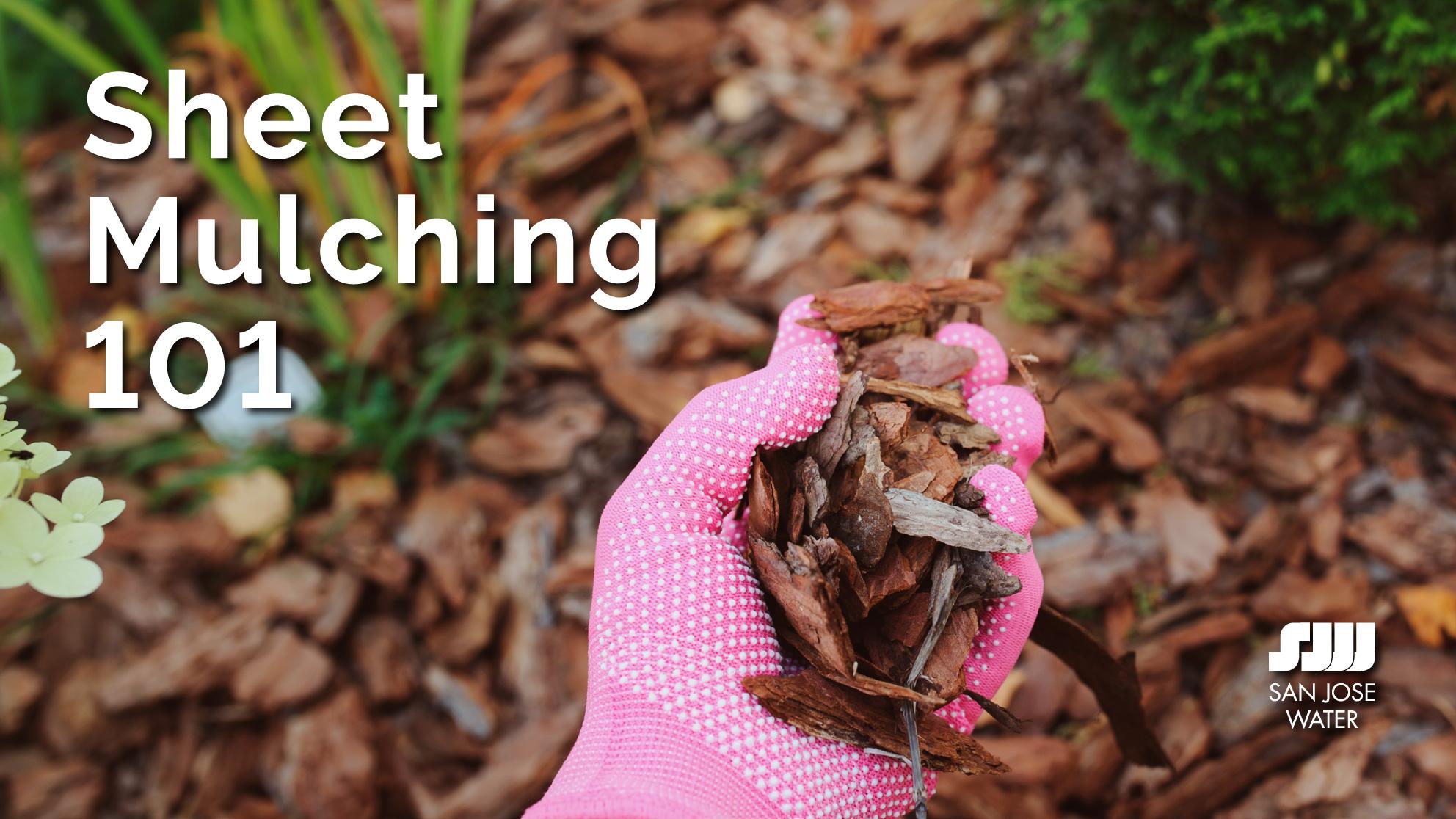 Sheet mulching 101 title image, hand holding mulch, San Jose Water logo