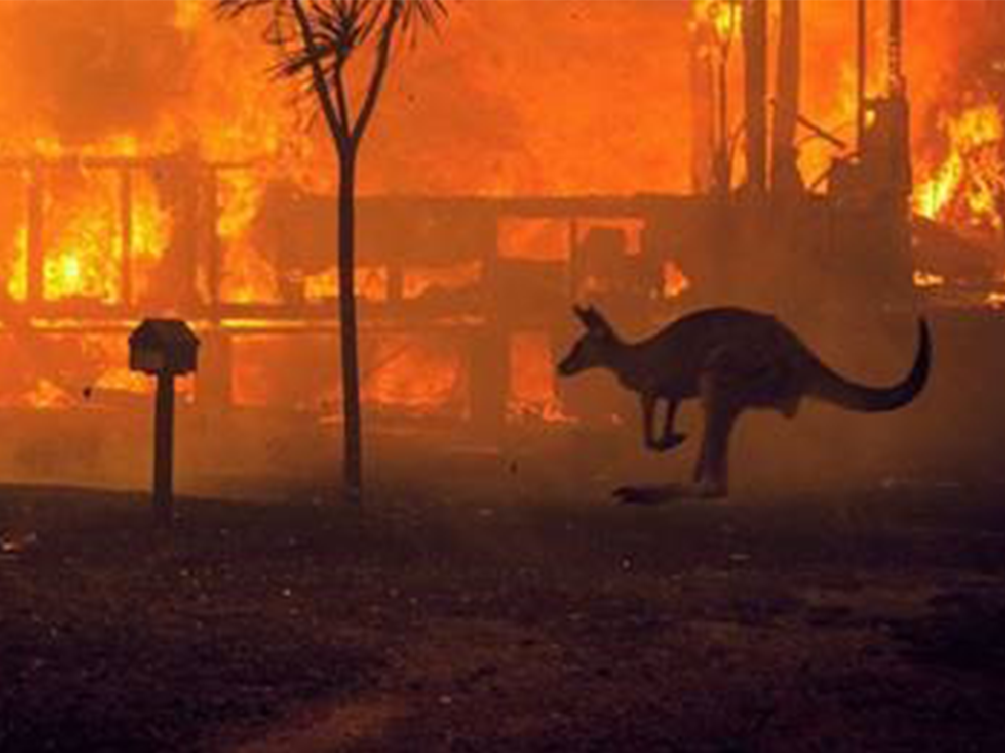 AUS-fire-1.png A