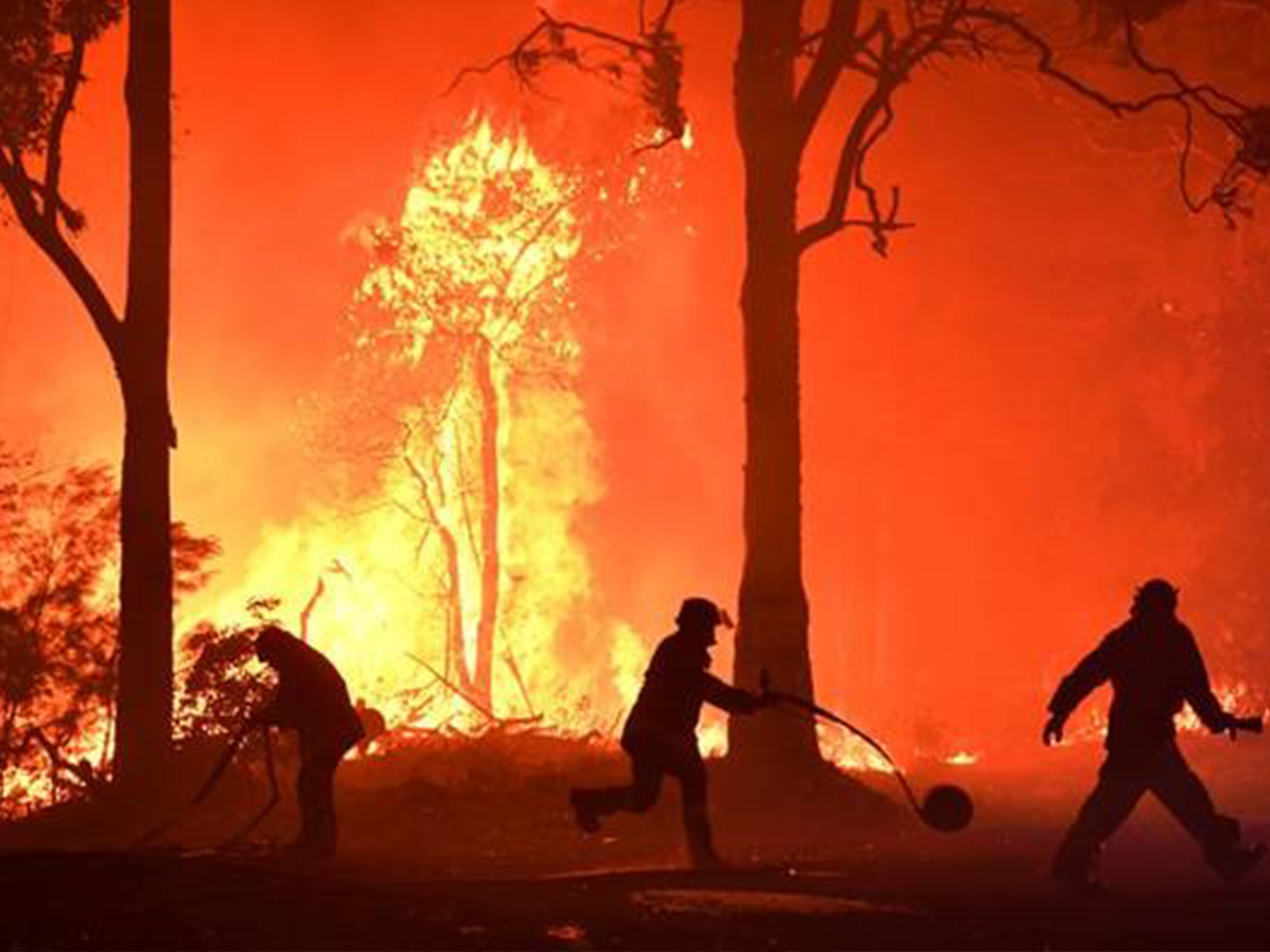 Australian Firefighters battling a blaze. Photo provided by PBS.org.