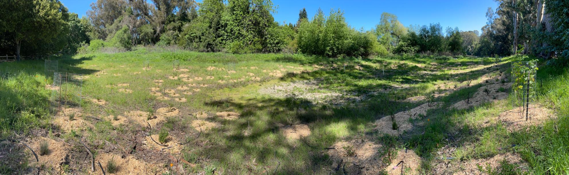 Panoramic shot of Lake Kittredge