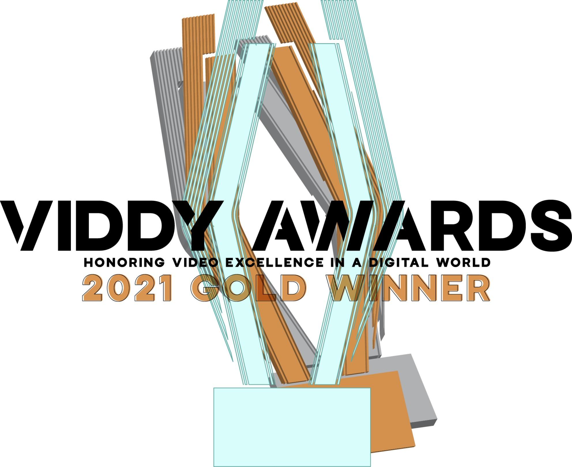 Viddy Award Gold Winner