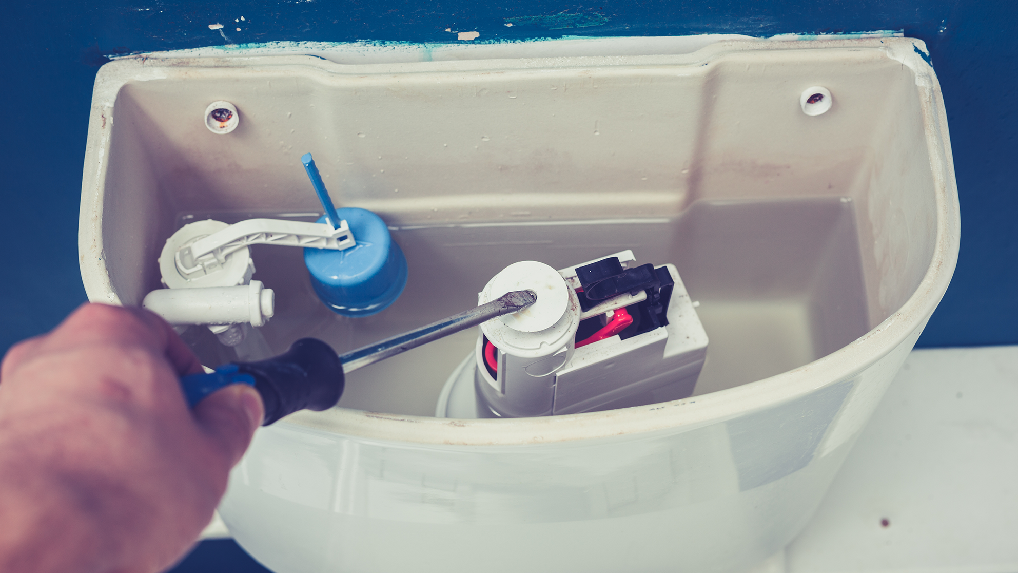 How to Fix a Leaky Toilet