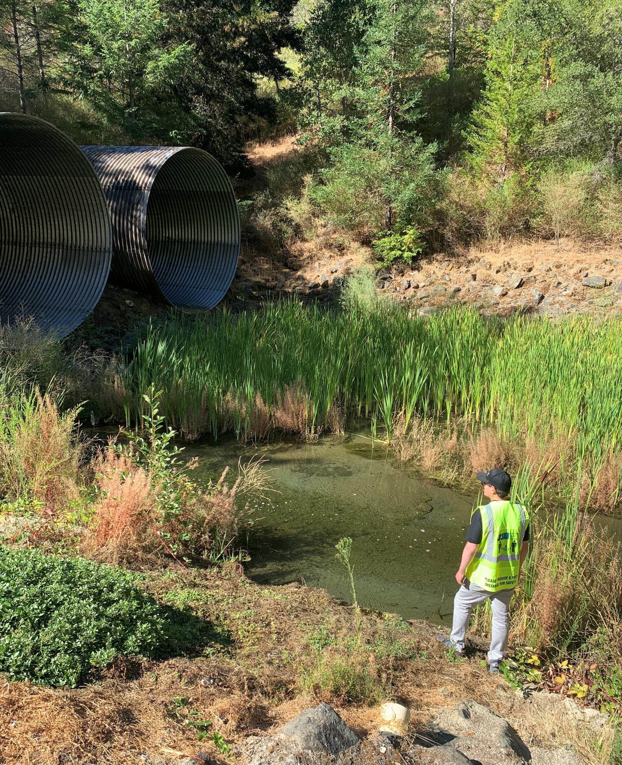 Jared in nature looking up at culverts
