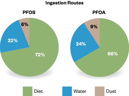 PFAS images ingestion routes