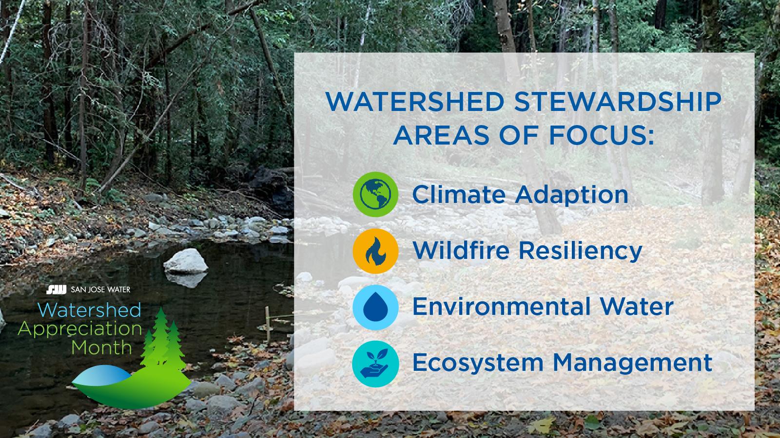 Watershed stewardship Areas of Focus graphic