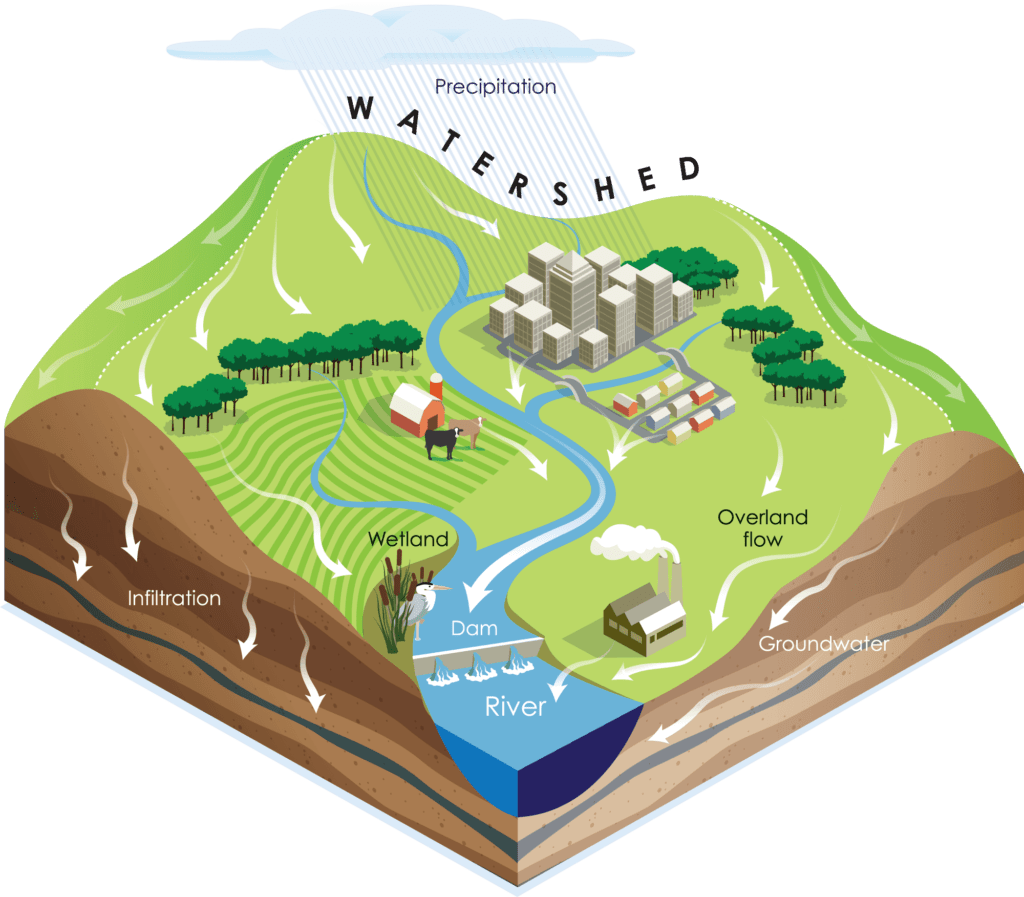 Graphic depiction of a watershed