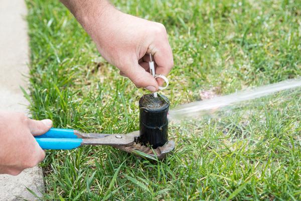 Irrigation-Nation.jpg Closeup of someone using pliers to check a water sprinkler in the grass