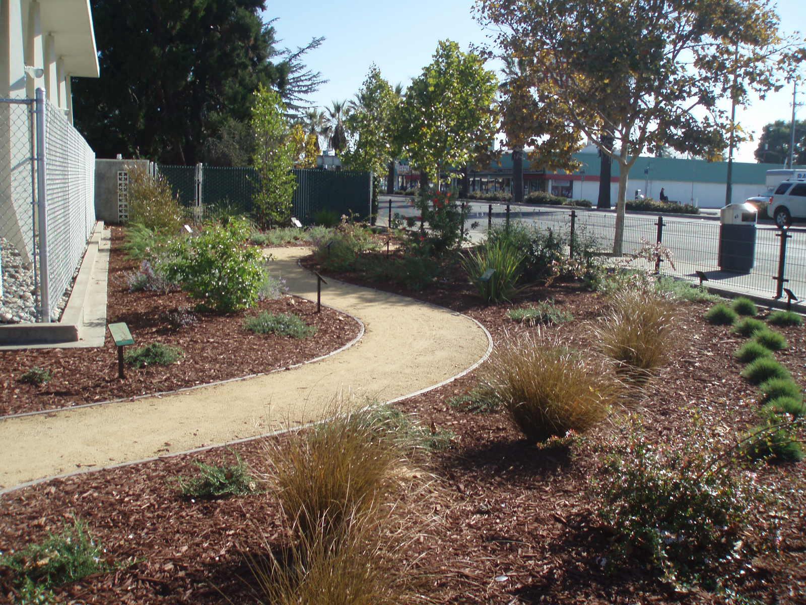 Demonstration garden with drought-resistant plants