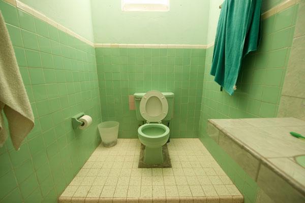Green bathroom with toilet